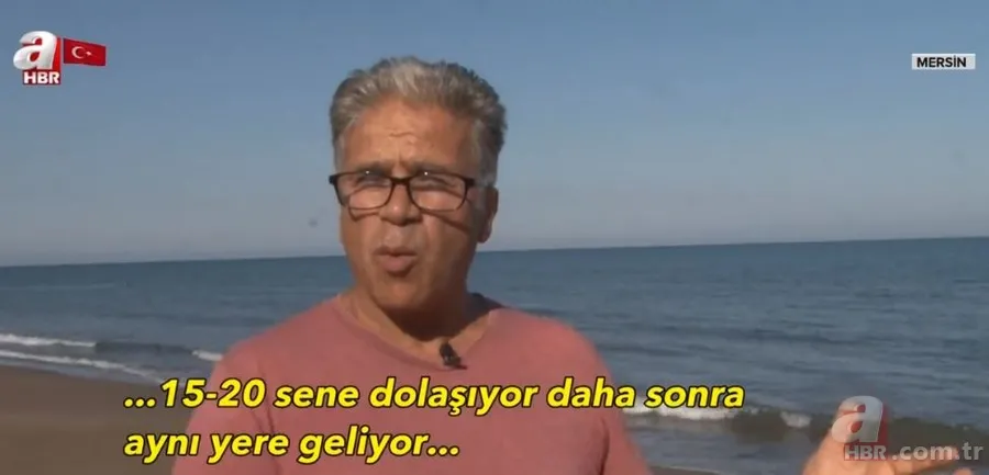 Bilim dünyasından önemli keşif! Navigasyonlu deniz kaplumbağaları 2