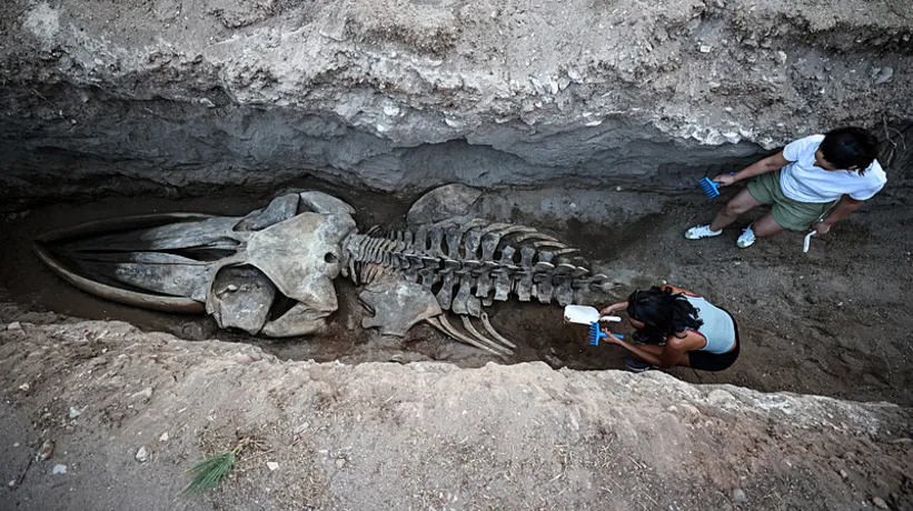 Mersin'de 4 yıl önce gömülmüştü! İskeleti topraktan çıkarılıyor