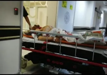 Erzurum'da ayı saldırısı: 1 ölü, 2 yaralı