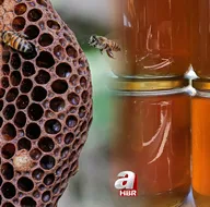 Balın sahte olduğunu ortaya çıkaran tek yöntem!