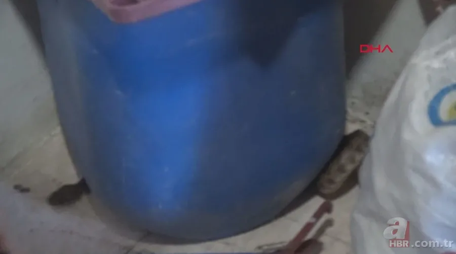 Tek ısırığı bile öldürüyor! Eve giren zehirli yılanı elleriyle yakaladı 🐍 10