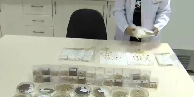 İşte Türkiye’nin Tohum Gen Bankası! Binlerce çeşit geleceğe aktarılıyor