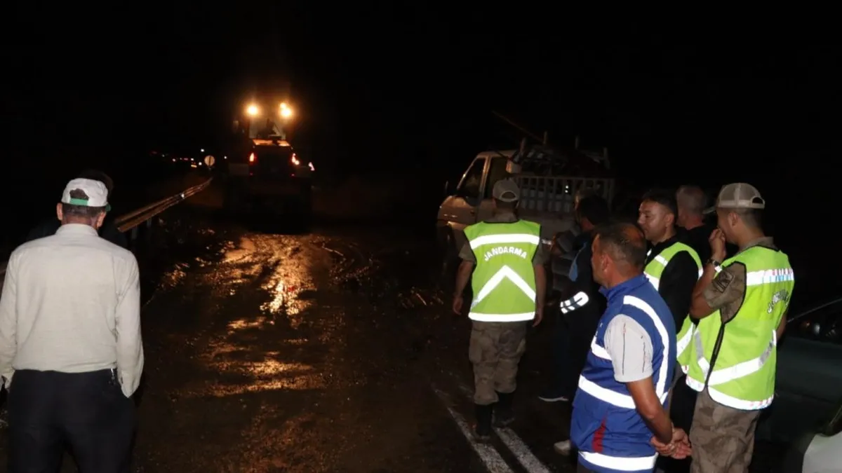 Erzurum-Artvin yoluna sel engeli