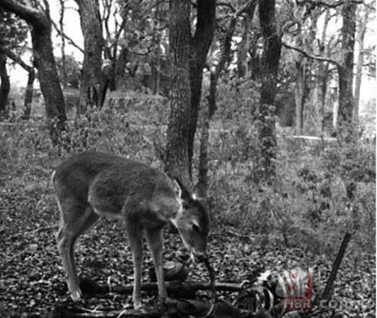 Rusya’dan göktaşı uyarısı! Tarih verdiler: Dünyaya yaklaşıyor! Uydulardan bile daha yakından geçecek 14