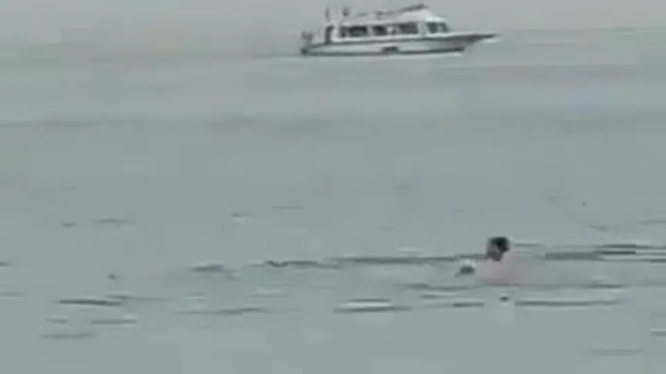 Köpek balığı denizde yüzen turisti canlı canlı böyle yedi! Vahşet anları kamerada...
