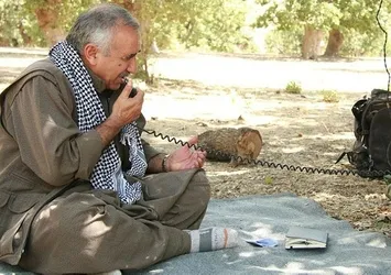 Karayılan'dan alçak talimat! İyice köşeye sıkıştılar