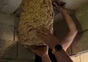 Uzun süredir kullanılmıyordu! Deponun içinde görenleri şaşkına çeviren manzara