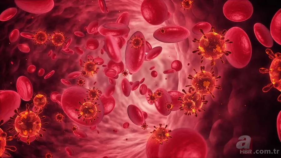 Kanser hastaları nasıl beslenmeli? Bu besinlere dikkat! Yarardan çok zarar veriyor 7