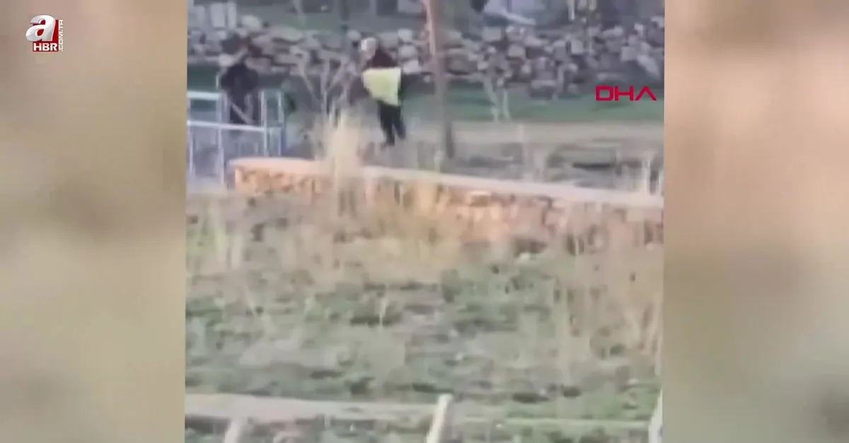 Sivas'ta sopalı şiddete uğrayan eşek öldü!