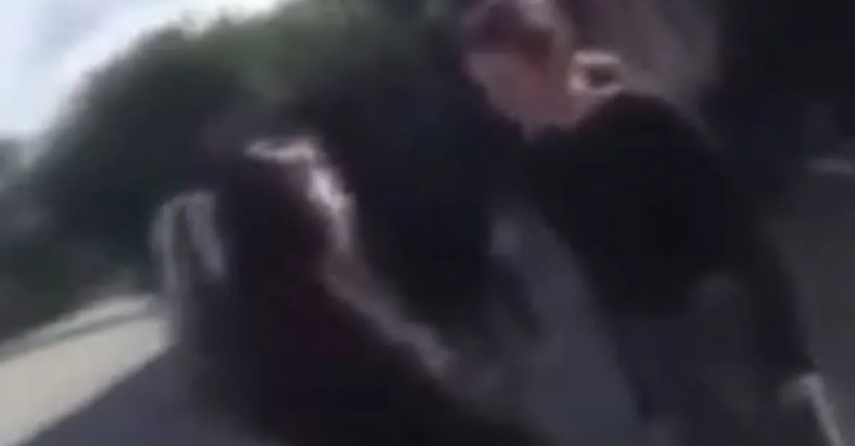 Kızların sevgili kavgasında yumruklar konuştu! Çevredekiler gülerek izledi