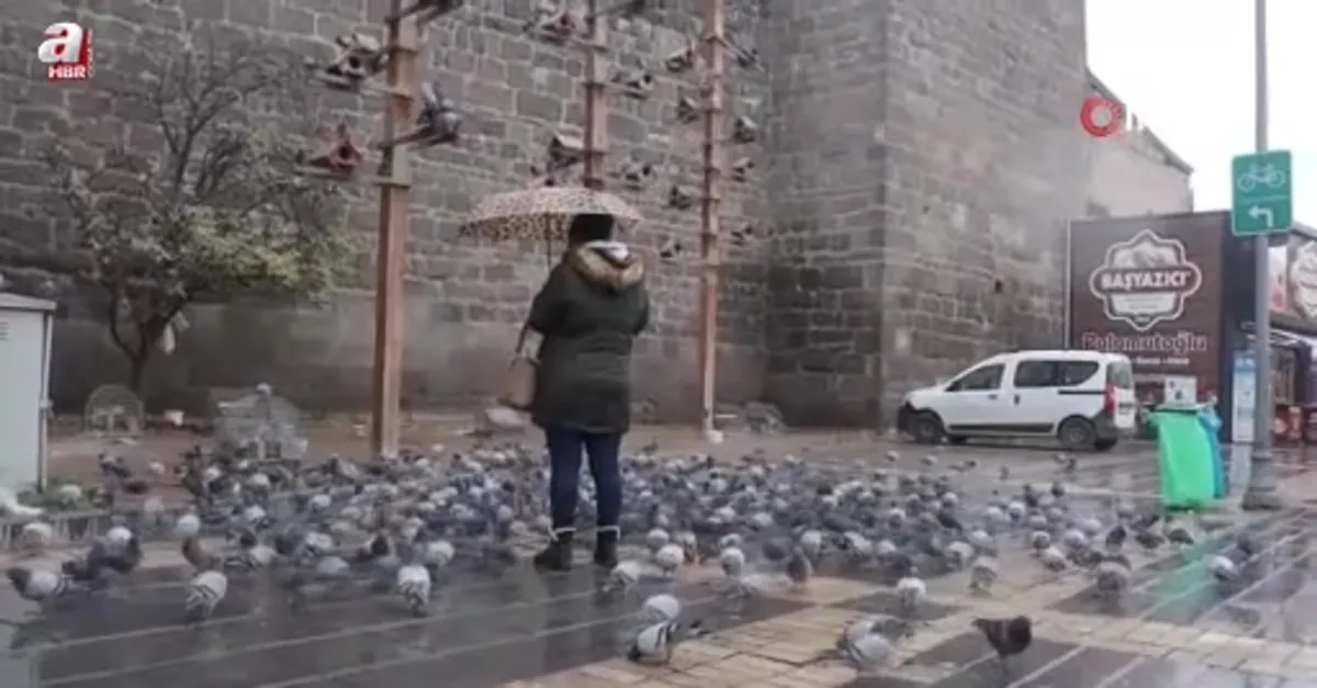 Kayseri'de kar yağışı