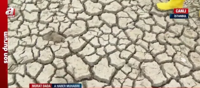 Su çekilince bataklık oluştu! Sazlıbosna Barajı’nda bataklık ortaya çıktı