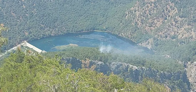 Muğla'da korkutan orman yangını! Ekipler müdahale etti