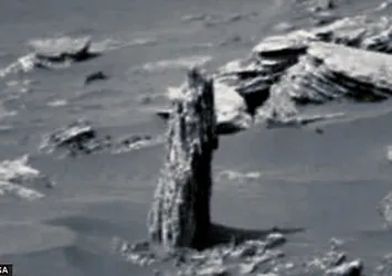 Mars’ta orman kalıntıları mı var?