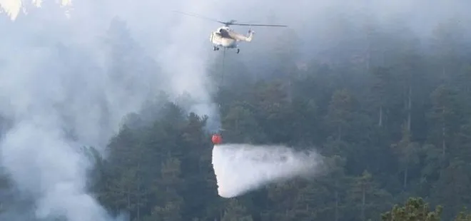 Son dakika: Çanakkale’deki yangın 18,5 saat sonra kontrol altına alındı