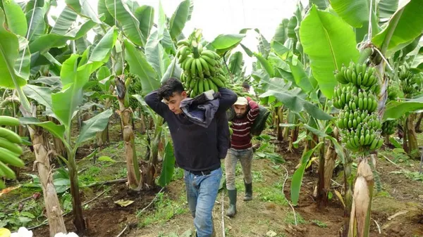 Şehirden köye dönene büyük teşvik! Resmi Gazete’de yayımlandı