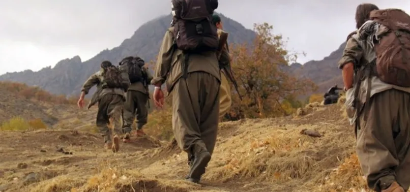 Şırnak'ta 5 terörist teslim oldu