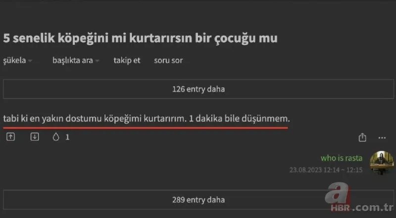 Ekşi Sözlük skandalı bitmek bilmiyor! 'Bir çocuğu mu kurtarırsınız yoksa bir köpeği mi?' sorusuna mide bulandıran cevaplar 23