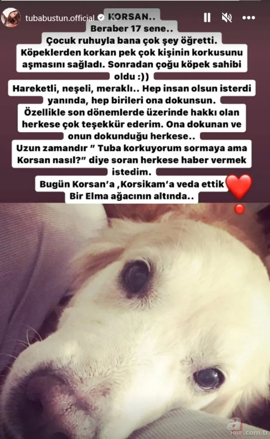 Tuba Büyüküstün'den gözü yaşlı selfie! Kimse ne olduğunu anlamadı 5