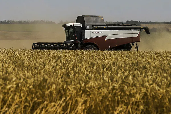 Dünyanın gözü Başkan Erdoğan'da! Tahıl koridoru meselesi nasıl çözülecek? ABD ve Alman basını umutlarını Türkiye'ye bağladı - 1