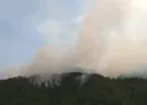 Kastamonu’da orman yangını