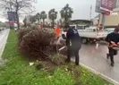 İzmir’de fırtına ağaçları devirdi