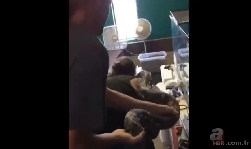 Her şey bir anda oldu! Dev piton yılanı bakıcısına böyle saldırdı 10