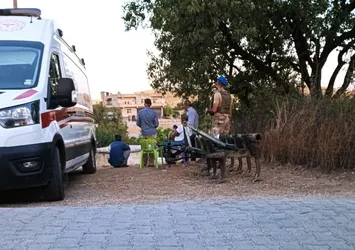 Abdest alırken köpeklerin saldırısı sonucu hayatını kaybetti!