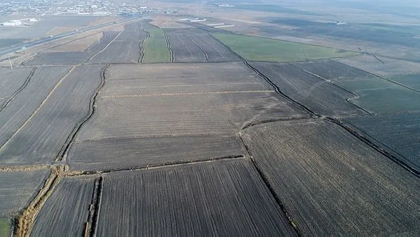Türkiye için kuraklık ve çölleşme uyarısı! Vahşi tarımsal sulama felaketi getirdi