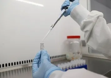 Koronavirüs aşısı ile ilgili önemli gelişme! Bir müjde daha geldi