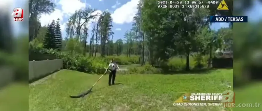 Sürücülerin kabusu oldu! Geceleri ortaya çıkıp yola fırlıyor 16