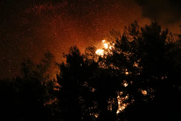 Son dakika | Antalya'da bir orman yangını daha! - 1