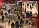 Batı Şeriada İsrailli yerleşimci vahşeti