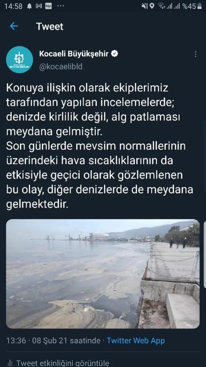 İzmit Körfezi’ndeki tedirgin eden görüntü! Nedeni belli oldu - 3