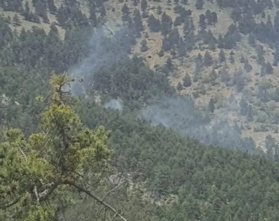 adanada-orman-yangini-cok-sayida-ekip-sevk-edildi-1716123716675.jpg Adana'da orman yangını! Çok sayıda ekip sevk edildi - 1