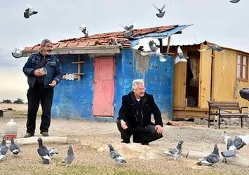 Kepçe ile duvar delip güvercin çaldılar