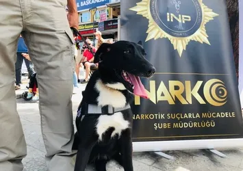 Narkotik köpeği Athena ilgi odağı oldu