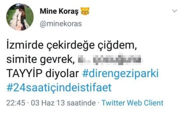 İyi Partili Mine Koraş, Akşener zihniyetini gözler önüne serdi!
