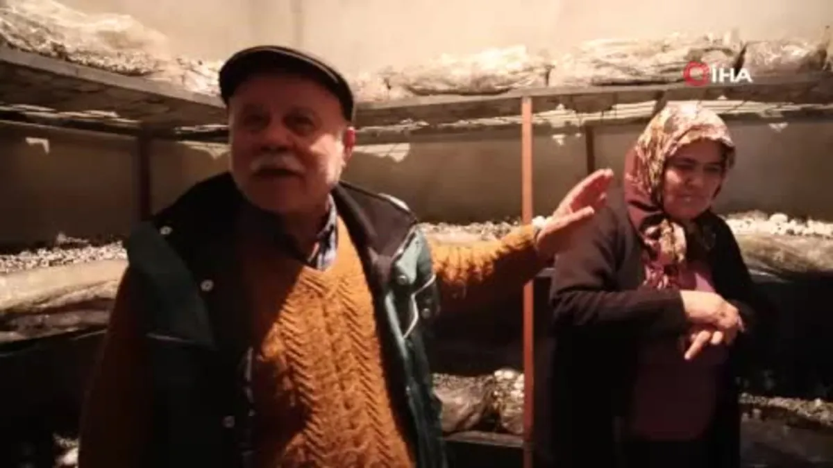 Emekli olunca hobisi ekmek teknesi oldu