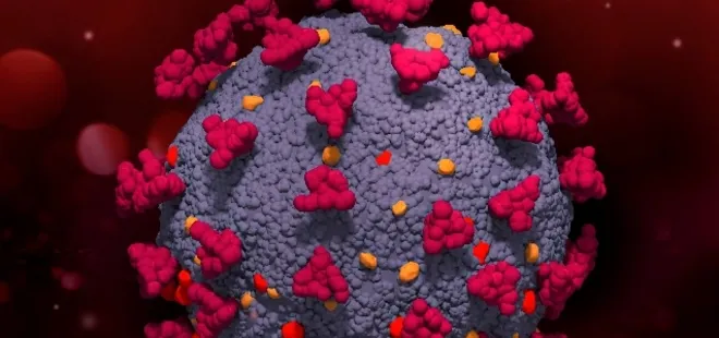 Kanser tedavisinde umut veren gelişme!