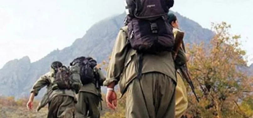 Mardin’de 1 PKK/YPG'li terörist teslim oldu