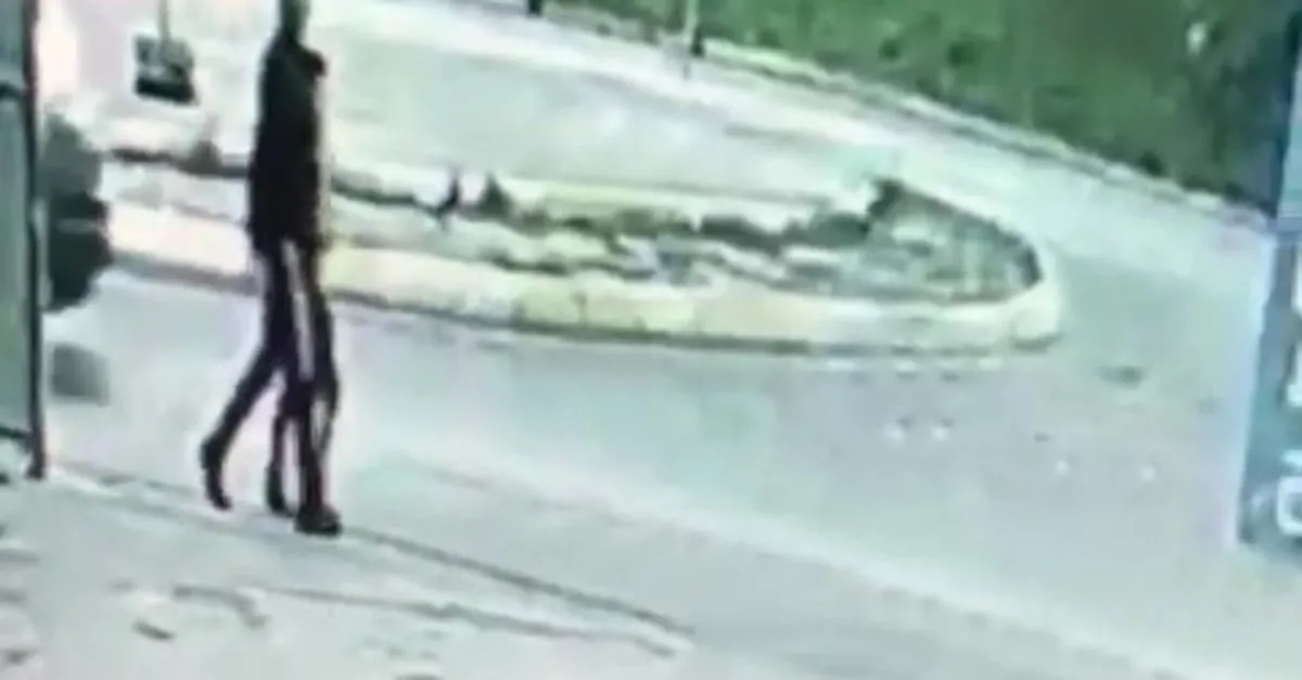 Istanbul Da Sapigin Kucuk Cocugu Ormanlik Alana Goturdugu Anlar Kamerada A Haber En Son Haberler