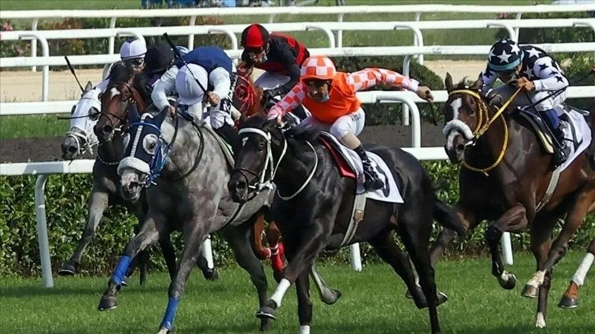 98. Gazi Koşusu! Yarışı Dragon Flame isimli safkan jokeyi Akın Sözen ile kazandı