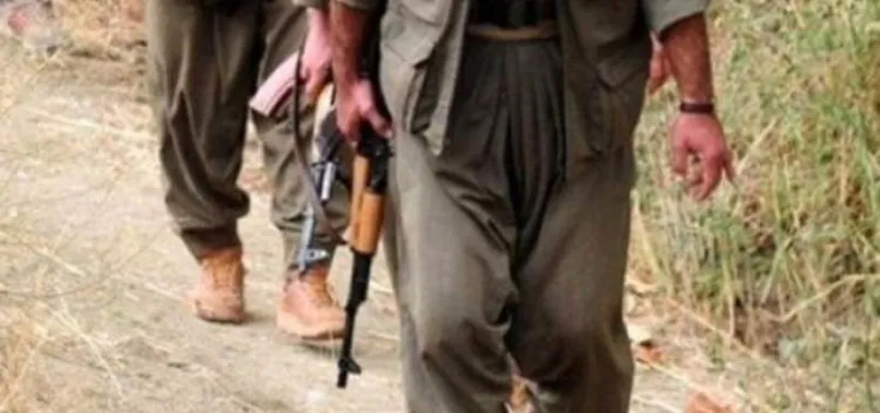 Şırnak'ta 8 terörist etkisiz hale getirildi