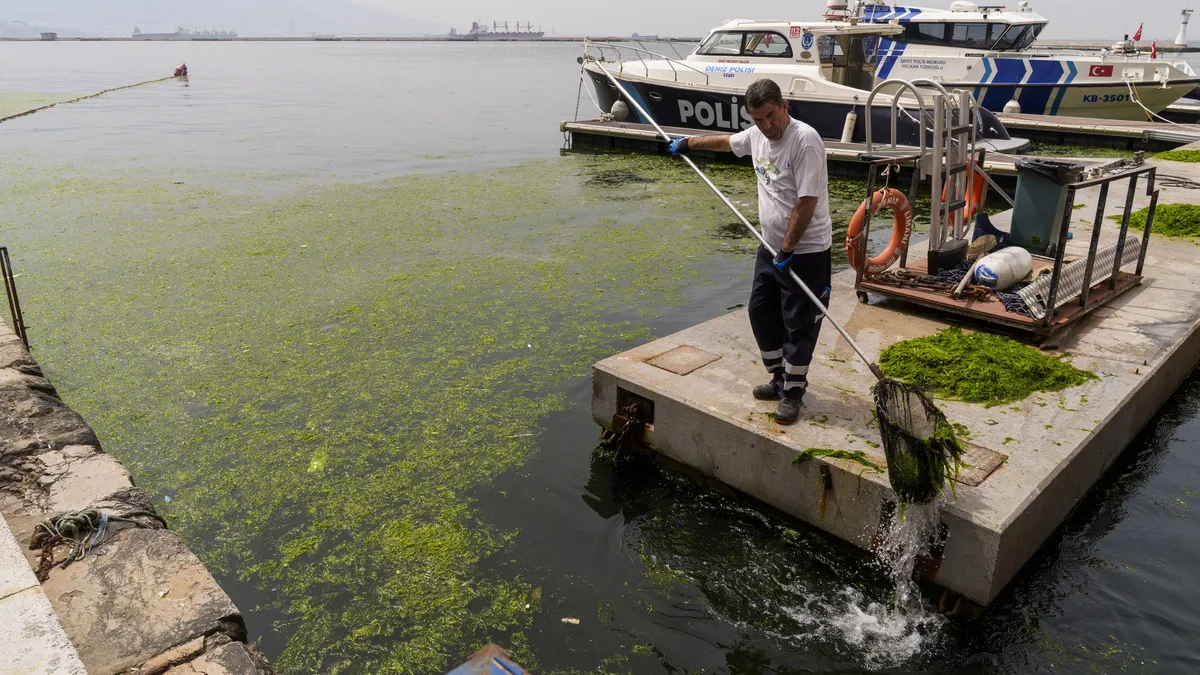 CHP Belediyeciliği yine sınıfta kaldı! İzmir Körfezi can çekişiyor