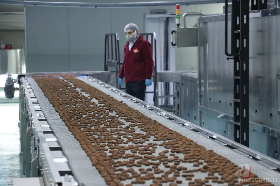 200 milyon TL devlet desteğiyle kuruldu! Kayseri'den 5 ülkeye ihraç ediyor 6