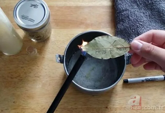 Evde defne yaprağı yakmanın faydaları 3