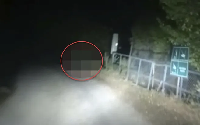 Görüntüler Erzincan’dan… Gece saatlerinde bir anda karşısına çıktılar! Cep telefonu ile kayda almayı başardı