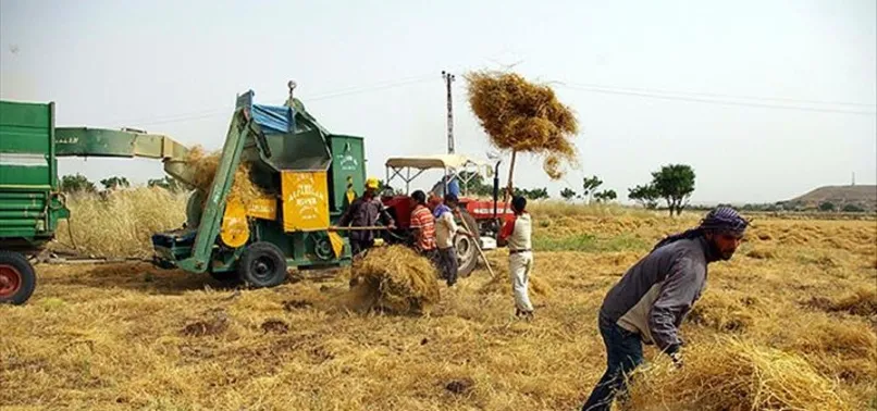 Çiftçilere mazot ve gübre desteği Resmi Gazete'de! Bakan İbrahim Yumaklı: Üretimimize güç katmaya devam edeceğiz