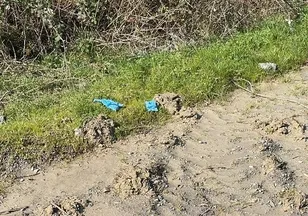 İstanbul’da kan donduran infaz: Çinli iş insanını önce öldürüp sonra gömmüşler!